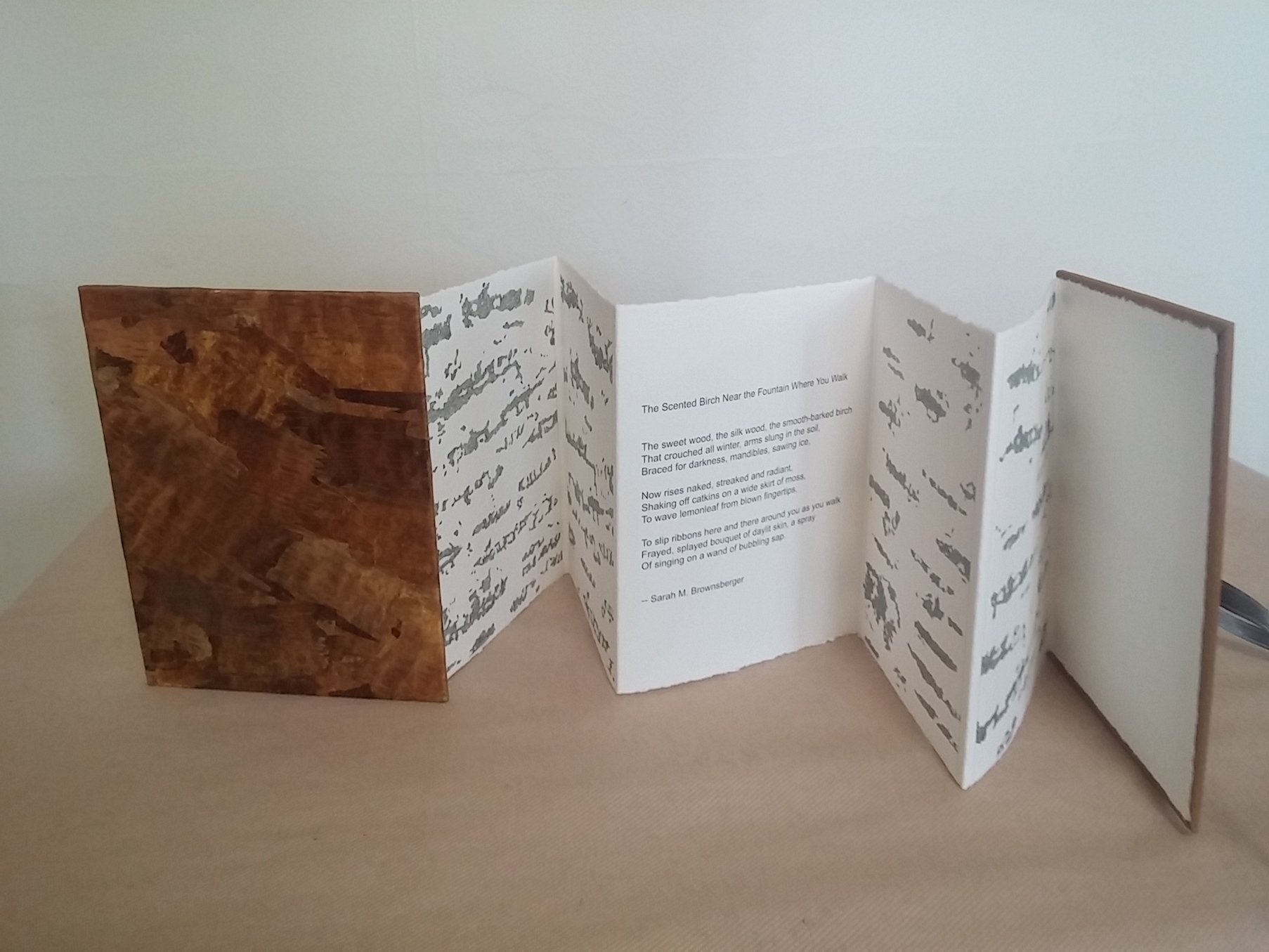 BIRCH, a book-work by Joan Backes with a birch-bark cover, drawings, and a poem by Sarah Brownsberger