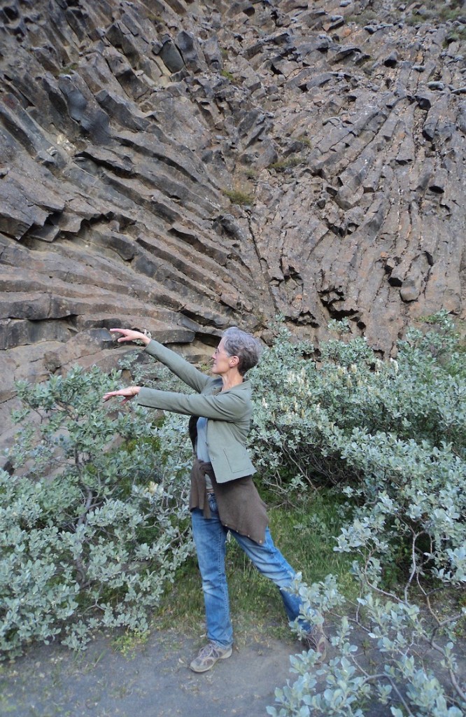 basalt in northern Iceland inspires a woman to dance